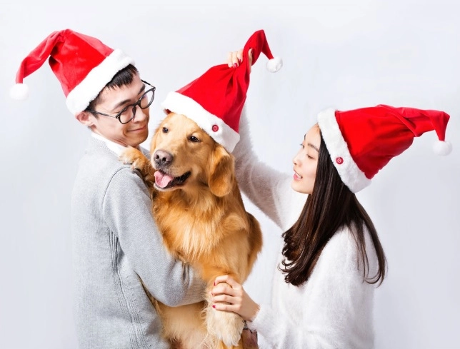 Mũ Noel Xiaomi LF-CH201 (có thể phát nhạc và nhảy múa)